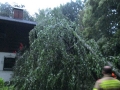 k-IMG_2336