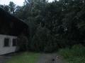 k-IMG_2339