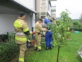 k-IMG_2463