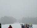 IMG-20170305-WA0010