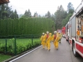 k-IMG_2636