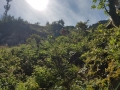 k-20170808_102618