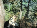 k-IMG_2724