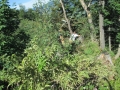 k-IMG_2734