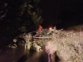 IMG-20170902-WA0001