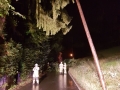IMG-20170902-WA0003