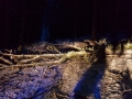 IMG-20171130-WA0003