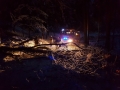 IMG-20171130-WA0004