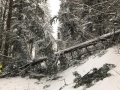 k-IMG-20190110-WA0007