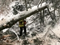 k-IMG-20190110-WA0008