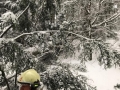 k-IMG-20190110-WA0017