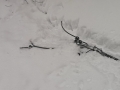 k-IMG-20190110-WA0020