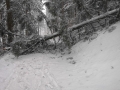 k-IMG-20190110-WA0023