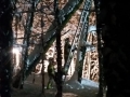 IMG-20190111-WA0008