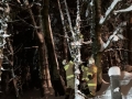IMG-20190111-WA0015