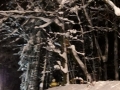 IMG-20190111-WA0016