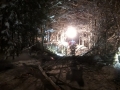 IMG-20190111-WA0021