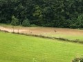 k-IMG-20190729-WA0005