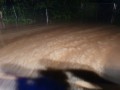 k-IMG-20190827-WA0020