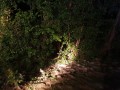 k-IMG-20190827-WA0046