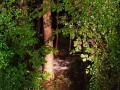 k-IMG-20190827-WA0048