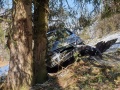 k-IMG-20200401-WA0006_LI