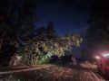 k-IMG-20210624-WA0001
