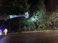k-IMG-20210624-WA0033