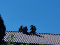 k-IMG-20220626-WA0002