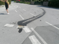 IMG-20240501-WA0001
