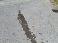 IMG-20240501-WA0002
