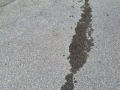 IMG-20240501-WA0003