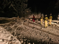 k-IMG-20231129-WA0002