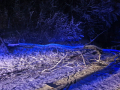 k-IMG-20231129-WA0003