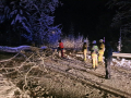 k-IMG-20231129-WA0005