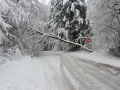 k-IMG-20231202-WA0053