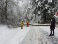 k-IMG-20231202-WA0056