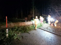 k-IMG-20231223-WA0007