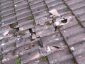 k-IMG-20231223-WA0018