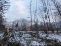 k-IMG-20240119-WA0003