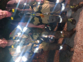k-20240515_205938