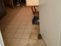k-IMG-20240604-WA0001