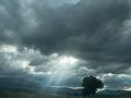 k-IMG-20250628-WA0002