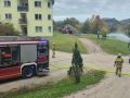 k-IMG-20251011-WA0011