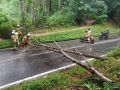 k-IMG_20260531_171425