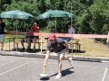 k-IMG_20260704_130156