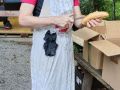 k-IMG_20260822_190954