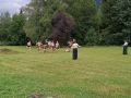 k-IMG_20260905_142558