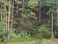 k-IMG-20261023-WA0018