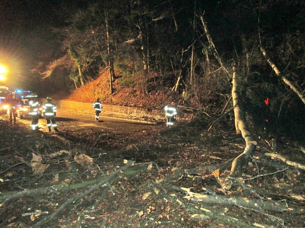 Sturmschäden im Jänner